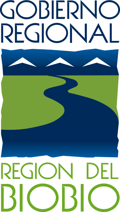 Gobierno Regional del Biobío